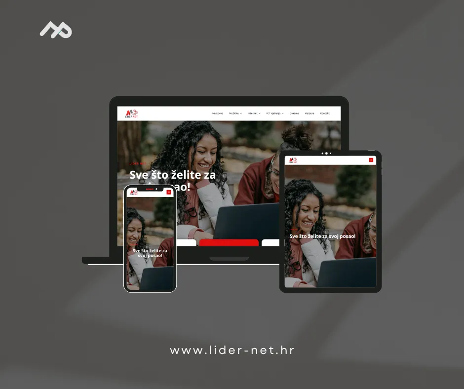 Website for Lider Net